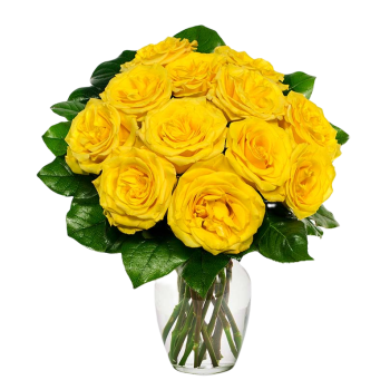 Flower Moment Flower Moment