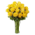 Yellow Roses