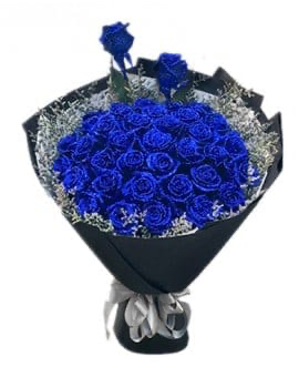 33 Blue Roses