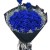 Blue Roses