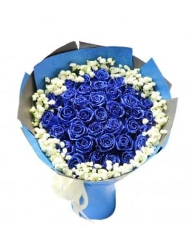 33 Blue Roses