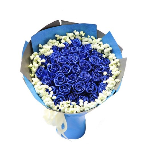 33 Blue Roses