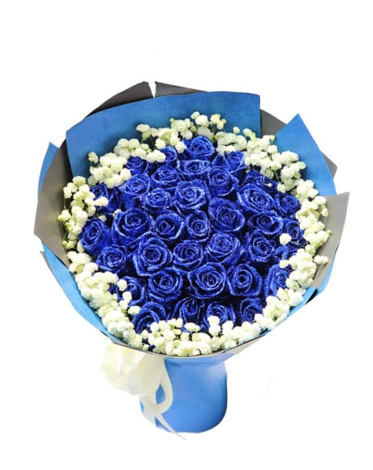 33 Blue Rosesa