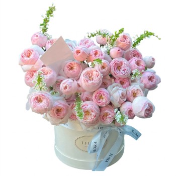 Pink Reverie