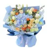 Sky Blue Harmony