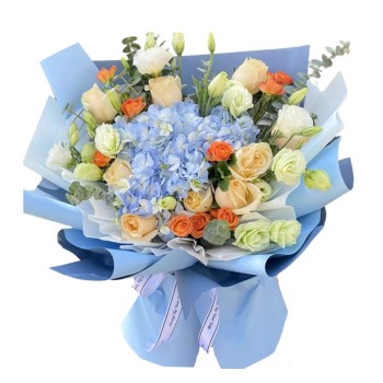 Sky Blue Harmony