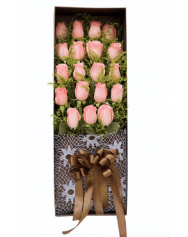 19 Pink Roses in Luxuy Box