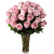 Pink Roses