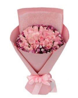 33 Pink Roses
