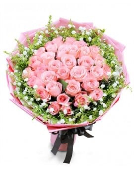 33 Pink Roses
