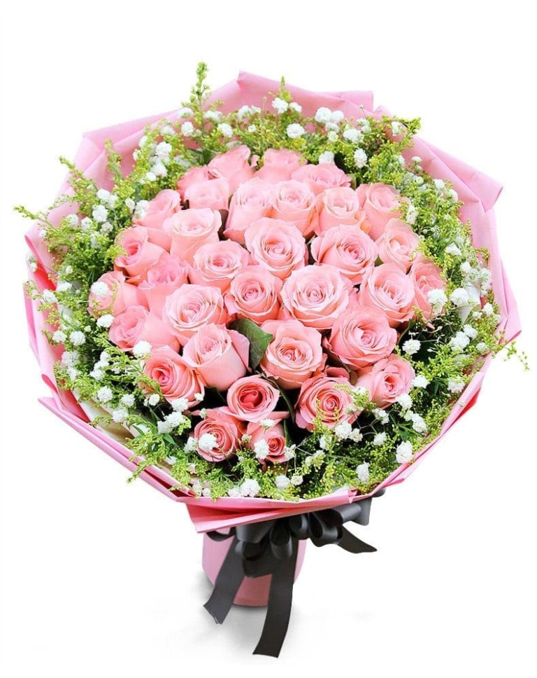 33 Pink Rosesa