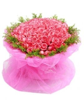 99  Pink Roses