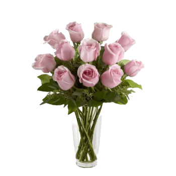Dozen Pink Roses in Vase Dozen Pink Roses in Vase