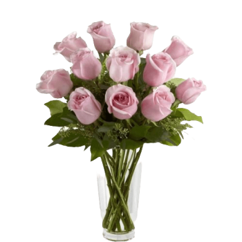 Dozen Pink Roses in Vase