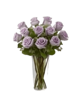 11 Purple Roses in Vase