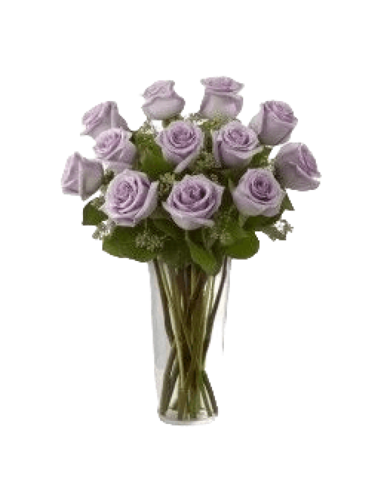 11 Purple Roses in Vasea