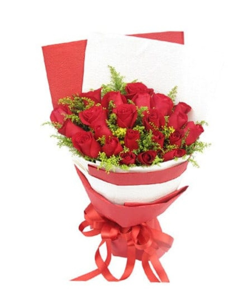 20 Red Rosesa