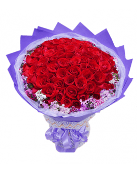 66 Red Roses