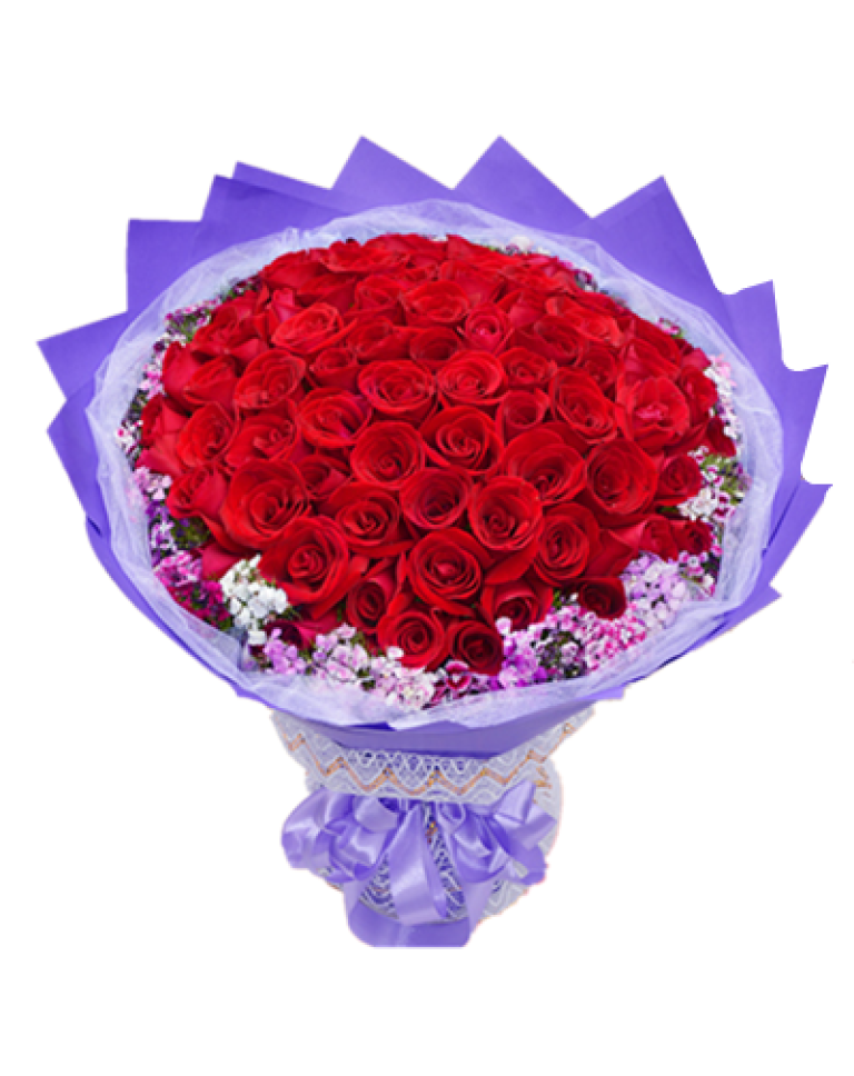 66 Red Roses