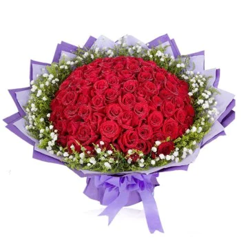 Regal Crimson Celebration Regal Crimson Celebration