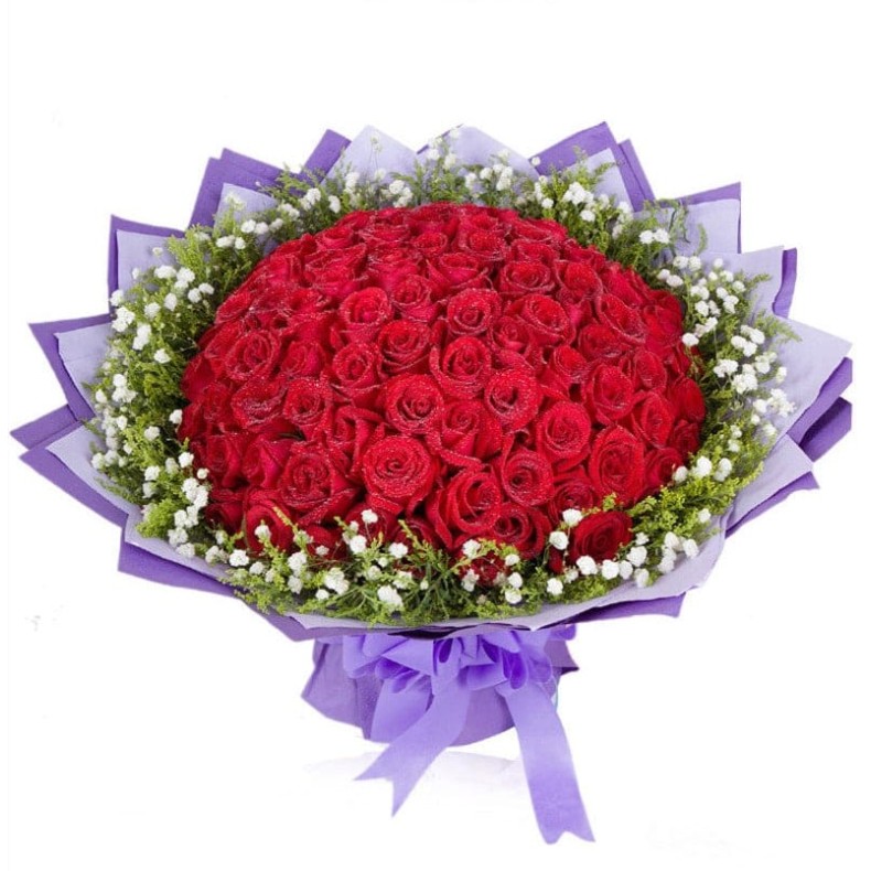 Regal Crimson Celebration Regal Crimson Celebration