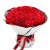 Red Roses