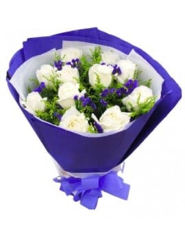11 White Roses