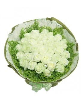 33 White Roses