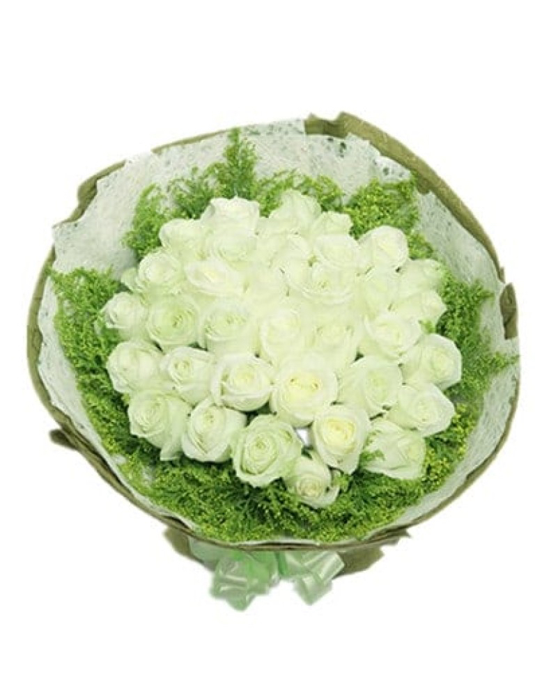 33 White Rosesa