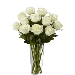 Dozen White Roses in Vase