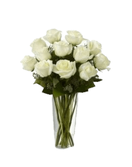 Dozen White Roses in Vase