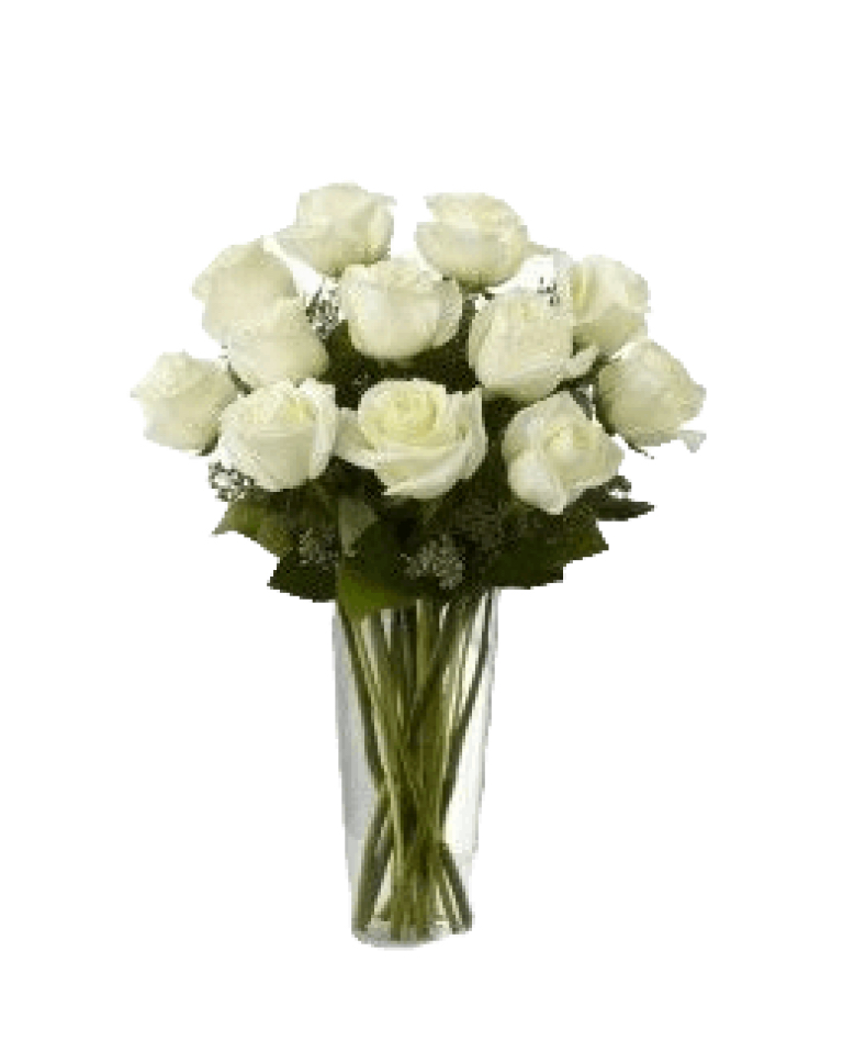 Dozen White Roses in Vasea