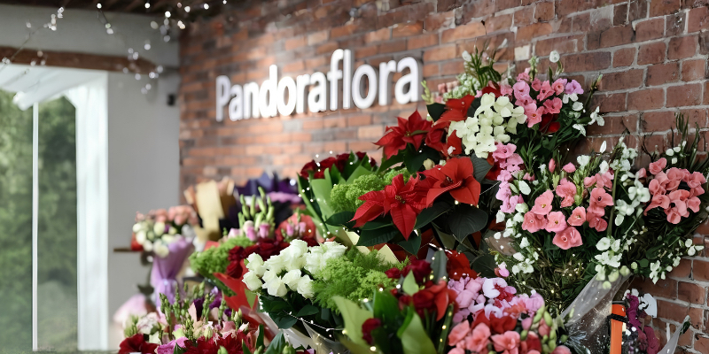 Pandoraflora Main Store