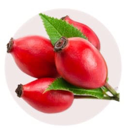 Rose Hip